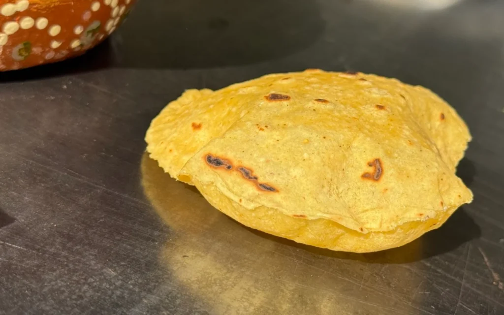 taquizas en guadalajara tortilla recien hecha